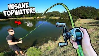 1v1 Topwater ONLY Bass Fishing Tournament!!! (INSANE)