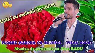 ALEX RADU   Floare mandra ca bujorul [NOU]SUPER COLAJ CU MELODII DE SUFLET MUZICA DE PETRECERE