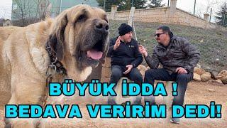 KÖPEĞİMİ BEDAVA VERİRİM DİYEN ARIZA GALERİCİ ~ DEV MALAKLI KAÇ KİLO GELDİ ?