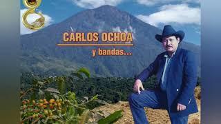 Carlos Ochoa - Los sauces llorones.
