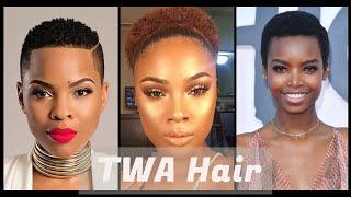 TWA Hair Appreciation  | Big Chop Inspo | Melanin Inspo