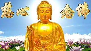 南無阿彌陀佛【經行版】以無緣慈 為眾生念佛，願自己與眾生 皆得同生極樂國 (詳閱以下說明欄)。世間無常 國土危脆，三界無安 猶如火宅。