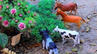 cow videos, cattle, dog, horse, jcb gadi, animal video, hamba, bommalu, tektar | Nov 18, 20248:58 AM