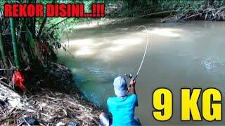 MANCING DI SUNGAI BESAR UNTUK BERBURU IKAN MONSTER 9 KG UP !!