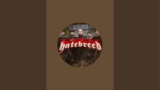 Happy Halloween! Hatebreed is live! Jasta checking in from the boat!