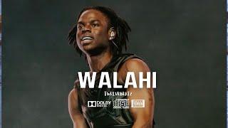 Afrobeat Instrumental “WALAHI” - Omah Lay x REMA Type Beat | Afrobeat Type beat