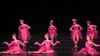 Flamingos - Marina Almayeva School of Classical Ballet