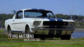 Ford Mustang Shelby GT350 1965 - Passion Auto Rétro