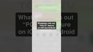 How to use POLLS On WhatsApp mobile! #TechCity #HowTo