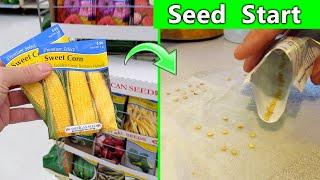 Start Seeds for a Garden Step by Step EZ Perlite Vermiculite Soil Mixture