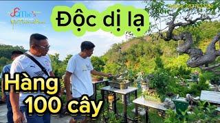 Lên núi cùng anh em Ba Miền ngắm vườn Bonsai nhiều cây Độc Dị Lạ của nghệ nhân Lưu Trường Sơn