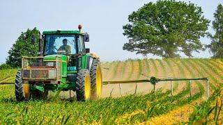 LU Freiberger | Pneumatische Maisreihen Düngung mit John Deere 6810 | Kurzvideo