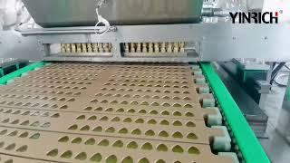 Factory Price GDQ300 Heart Shape Gummy Candy Production Line | YINRICH