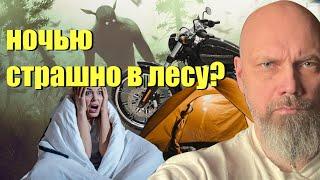 Почему страшно ночью в палатке в лесу?