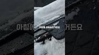 겨울철 야외 주차시 차량용 필수템