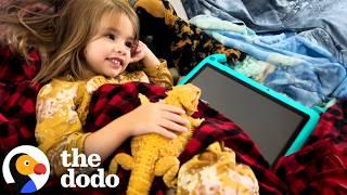 Four-Year Old's BFF Is Her Bearded Dragon | The Dodo