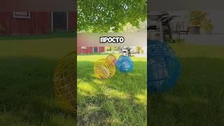 Курятник с умом #дача #сад #огород