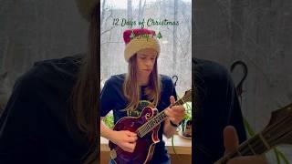 God Rest Ye Merry Gentlemen - Oscar Caudell #bluegrass #christmas #mandolin