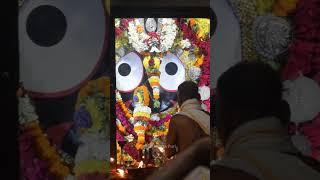 Today Sandhya aarti darshan of shree Jagannath ️ Jagannath dham Puri #lord #jagannath #aarti