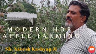 Visit Modern HDP Orchard On M9 Rootstock with Fertigation system || Sh. Naresh Kashyap Ji || Guthan.