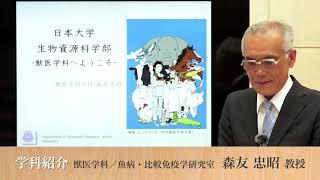 012 学科紹介／森友 忠昭／獣医学科【日本大学生物資源科学部】