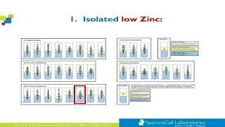 Patterns on the Micronutrient Test Red Flags for Hidden Toxins and Pathogens