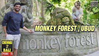 MUST VISIT: Monkey Forest in Ubud | Chennai to Bali| Explore With Bavin