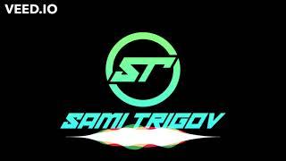 Sami Trigov - Hard to succeed