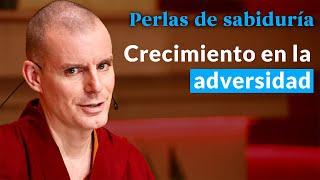 Crecimiento en la adversidad - Perlas de Sabiduría [Sesión 8] | Lama Rinchen