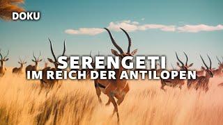 Serengeti – Im Reich der Antilopen (wundervolle Tierdoku | Serengeti Doku)