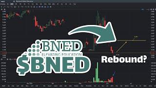 BNED Stock Prediction: Will it Rebound? - BNED Stock Analysis