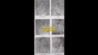  EASY FINGERPRINT SCIENCE EXPERIMENT  #shorts LABble