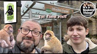 Trentham Monkey Forest, First time visit, Look around with us #itsastakesything