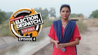 Preeti Choudhry's Election Despatch, Haryana Assembly 2024