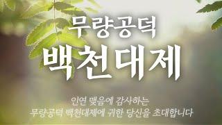 백천대제를 통해 새로운 인연을 창조하세요 | 무량공덕 백천대제 | 선교