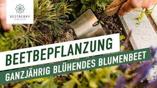 Beetbepflanzung - Tipps für ein ganzjährig blühendes Blumenbeet für Bienen