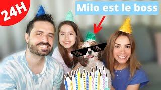 MILO EST LE BOSS PENDANT 24H  // KIARA PARIS 