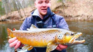 Michigan Trout Camp Adventure (Tent Camping)