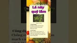 Bí Quyết Giữ Gìn Sức Khỏe Toàn Diện | Sức khỏe vàng #ChămSócSứcKhỏe #BảoVệSứcKhỏe #SốngKhỏeMỗiNgày