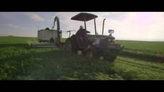 Organic Farming - From Seed to Supplement | Amway