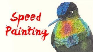 WATERCOLOR Speed Painting - Feiry Throated Hummingbird