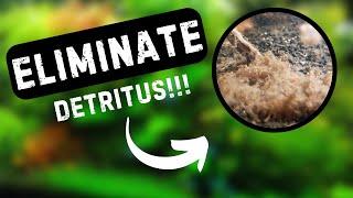 How to ELIMINATE Detritus In Your Aquarium | 7 EASY TIPS!