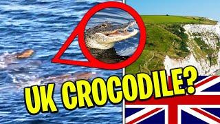 Is THIS A Crocodile In The UK In 2022?