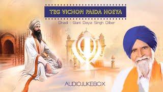 Giani Daya Singh Dilber - Teg Vichon Paida Hoeya Jukebox