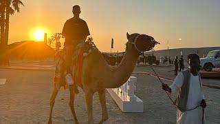 i flew to the middle east to ride a camel