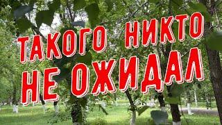 #Павлодар 21 июня 2025 года