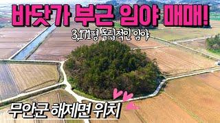 [전남임야매매] 매물번호#342 3,171평 바닷가 부근 임야 매매 ! 무안군 해제면 산길리 임야 시골땅 촌땅 토지 매매