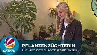 Hannoveranerin züchtet bis zu 1.000 Euro teure Pflanzen