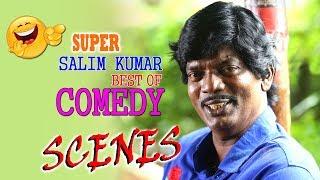 Salim Kumar Comedy Scenes | Nonstop Comedy | Malayalam Comedy Scenes | Best Of Salim Kumar