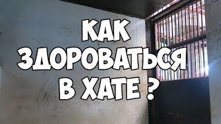 Как здороваться при входе в камеру?